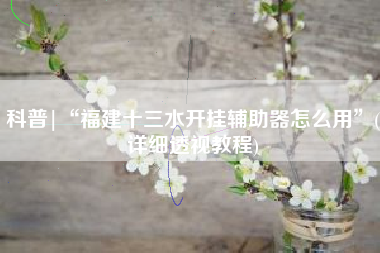 科普|“福建十三水开挂辅助器怎么用”(详细透视教程)