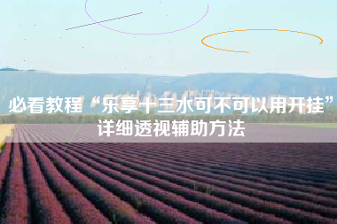 必看教程“乐享十三水可不可以用开挂”详细透视辅助方法