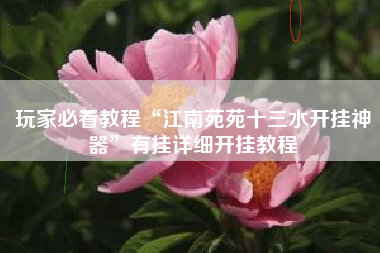 玩家必看教程“江南苑苑十三水开挂神器”有挂详细开挂教程