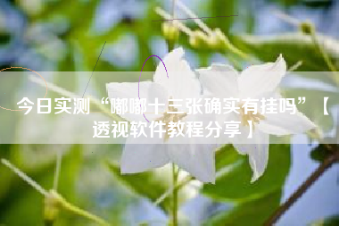 今日实测“嘟嘟十三张确实有挂吗”【透视软件教程分享】