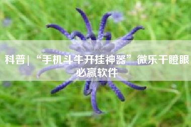 科普|“手机斗牛开挂神器”微乐干瞪眼必赢软件 科普|“手机斗牛开挂神器”微乐干瞪眼必赢软件