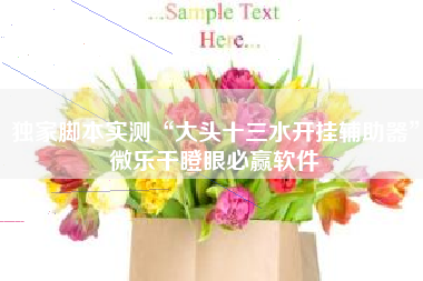 独家脚本实测“大头十三水开挂辅助器”微乐干瞪眼必赢软件 独家脚本实测“大头十三水开挂辅助器”微乐干瞪眼必赢软件