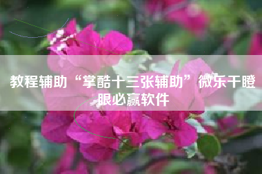 教程辅助“掌酷十三张辅助”微乐干瞪眼必赢软件