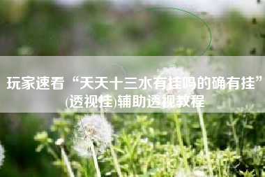 玩家速看“天天十三水有挂吗的确有挂”(透视挂)辅助透视教程