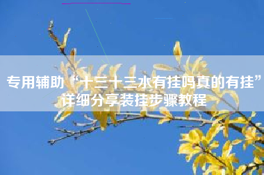 专用辅助“十三十三水有挂吗真的有挂”详细分享装挂步骤教程