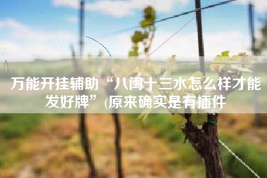 万能开挂辅助“八闽十三水怎么样才能发好牌”(原来确实是有插件