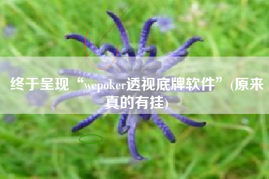 终于呈现“wepoker透视底牌软件”(原来真的有挂) 终于呈现“wepoker透视底牌软件”(原来真的有挂)