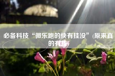 必备科技“微乐跑的快有挂没”(原来真的有挂)