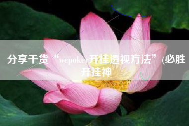分享干货“wepoker开挂透视方法”(必胜开挂神