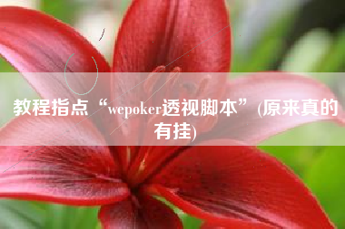 教程指点“wepoker透视脚本”(原来真的有挂) 教程指点“wepoker透视脚本”(原来真的有挂)