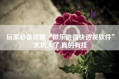 玩家必备攻略“微乐跑得快透视软件”太坑人了,真的有挂 玩家必备攻略“微乐跑得快透视软件”太坑人了,真的有挂