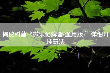 揭秘科普“微乐记牌器(通用版)”详细开挂玩法