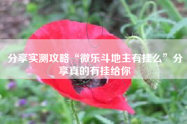 分享实测攻略“微乐斗地主有挂么”分享真的有挂给你 分享实测攻略“微乐斗地主有挂么”分享真的有挂给你