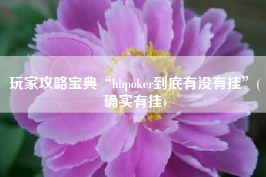玩家攻略宝典“hhpoker到底有没有挂”(确实有挂) 玩家攻略宝典“hhpoker到底有没有挂”(确实有挂)