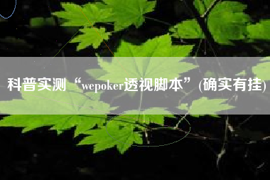 科普实测“wepoker透视脚本”(确实有挂)