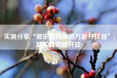 实测分享“微乐捉鸡麻将万能开挂器”(其实真的能开挂)