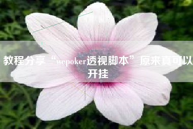 教程分享“wepoker透视脚本”原来真可以开挂 教程分享“wepoker透视脚本”原来真可以开挂