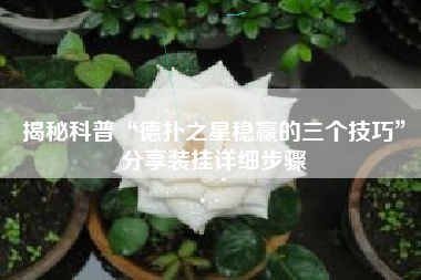 揭秘科普“德扑之星稳赢的三个技巧”分享装挂详细步骤 揭秘科普“德扑之星稳赢的三个技巧”分享装挂详细步骤