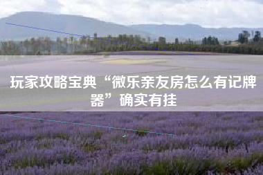 玩家攻略宝典“微乐亲友房怎么有记牌器”确实有挂 玩家攻略宝典“微乐亲友房怎么有记牌器”确实有挂