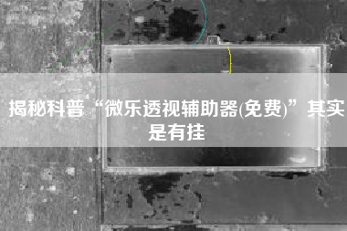 揭秘科普“微乐透视辅助器(免费)”其实是有挂