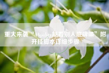 重大来袭“AApoker能看别人底牌嘛”附开挂脚本详细步骤 重大来袭“AApoker能看别人底牌嘛”附开挂脚本详细步骤