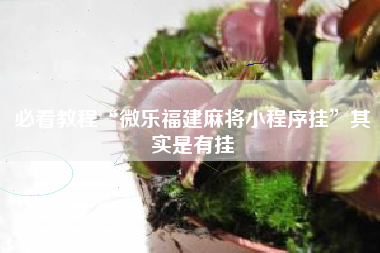 必看教程“微乐福建麻将小程序挂”其实是有挂 必看教程“微乐福建麻将小程序挂”其实是有挂