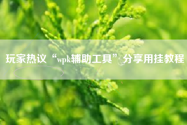 玩家热议“wpk辅助工具”分享用挂教程 玩家热议“wpk辅助工具”分享用挂教程