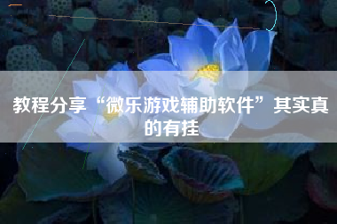 教程分享“微乐游戏辅助软件”其实真的有挂