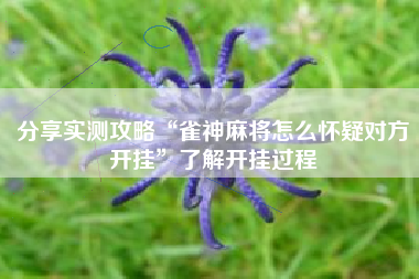 分享实测攻略“雀神麻将怎么怀疑对方开挂”了解开挂过程