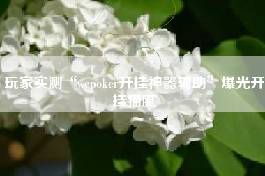 玩家实测“wepoker开挂神器辅助”爆光开挂猫腻