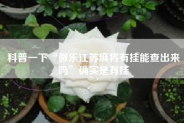 科普一下“微乐江苏麻将有挂能查出来吗”确实是有挂