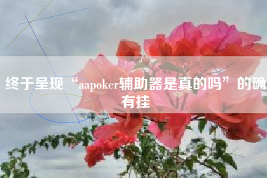 终于呈现“aapoker辅助器是真的吗”的确有挂 终于呈现“aapoker辅助器是真的吗”的确有挂