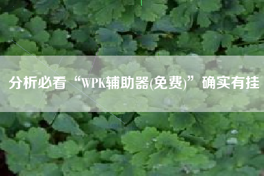 分析必看“WPK辅助器(免费)”确实有挂 分析必看“WPK辅助器(免费)”确实有挂