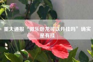 重大通报“微乐卧龙可以开挂吗”确实是有挂
