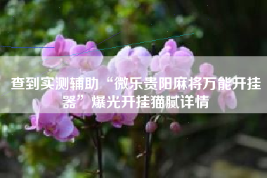 查到实测辅助“微乐贵阳麻将万能开挂器”爆光开挂猫腻详情 查到实测辅助“微乐贵阳麻将万能开挂器”爆光开挂猫腻详情