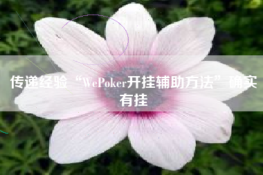 传递经验“WePoker开挂辅助方法”确实有挂 传递经验“WePoker开挂辅助方法”确实有挂