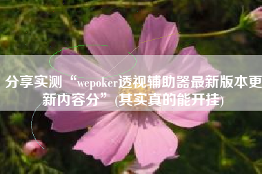 分享实测“wepoker透视辅助器最新版本更新内容分”(其实真的能开挂) 分享实测“wepoker透视辅助器最新版本更新内容分”(其实真的能开挂)