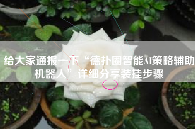 给大家通报一下“德扑圈智能AI策略辅助机器人”详细分享装挂步骤