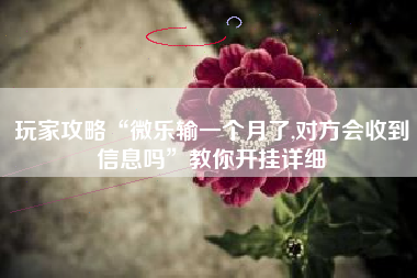 玩家攻略“微乐输一个月了,对方会收到信息吗”教你开挂详细 玩家攻略“微乐输一个月了,对方会收到信息吗”教你开挂详细