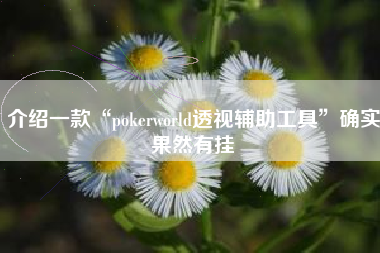 介绍一款“pokerworld透视辅助工具”确实果然有挂
