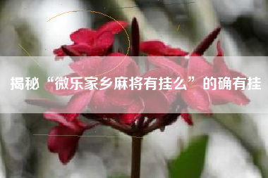 揭秘“微乐家乡麻将有挂么”的确有挂 揭秘“微乐家乡麻将有挂么”的确有挂
