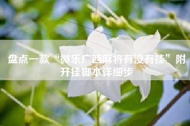 盘点一款“微乐广西麻将有没有挂”附开挂脚本详细步