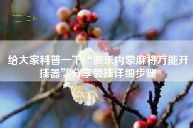 给大家科普一下“微乐内蒙麻将万能开挂器”分享装挂详细步骤