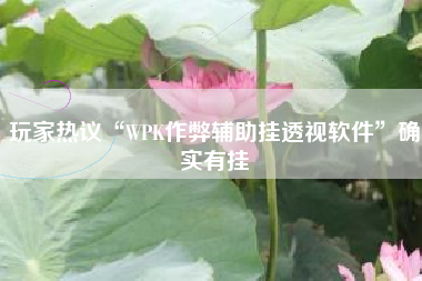 玩家热议“WPK作弊辅助挂透视软件”确实有挂