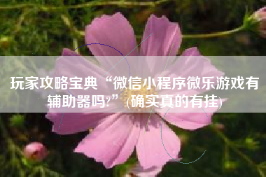 玩家攻略宝典“微信小程序微乐游戏有辅助器吗?”(确实真的有挂)