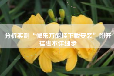 分析实测“微乐万能挂下载安装”附开挂脚本详细步