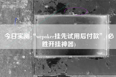 今日实测“wepoker挂先试用后付款”(必胜开挂神器) 今日实测“wepoker挂先试用后付款”(必胜开挂神器)