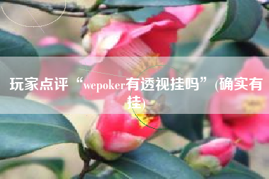 玩家点评“wepoker有透视挂吗”(确实有挂)