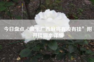 今日盘点“微乐广西麻将有没有挂”附开挂脚本详细 今日盘点“微乐广西麻将有没有挂”附开挂脚本详细