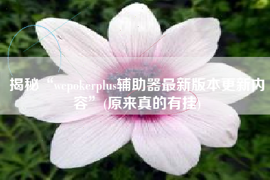 揭秘“wepokerplus辅助器最新版本更新内容”(原来真的有挂)